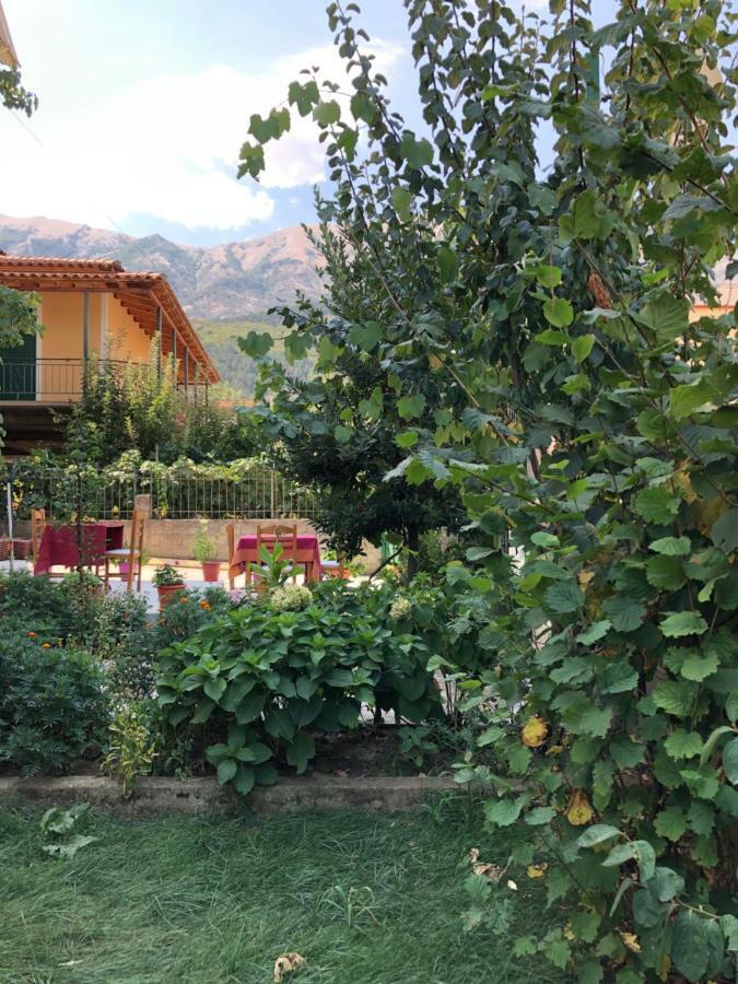 Hotel Villa Ago Пермети Экстерьер фото